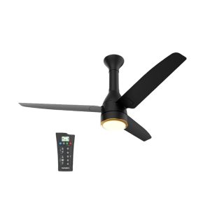 Remote control fan